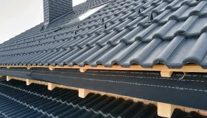 Roofing House, Illinois Bee Roofing & Restoration